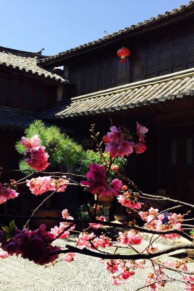 Lijiang Merry Inn Extérieur photo